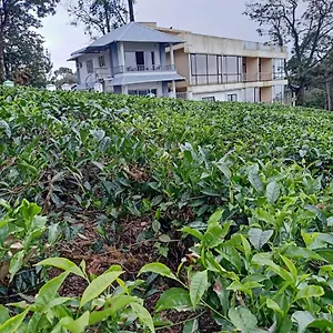 Resort The Nirvana Munnar